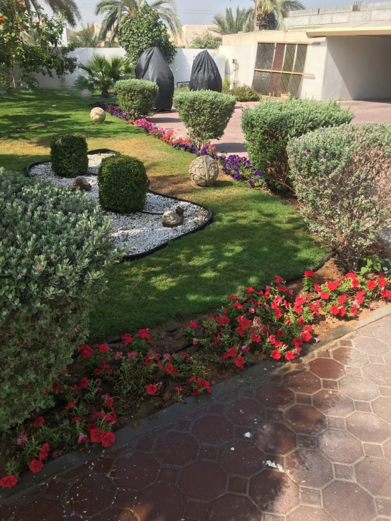 افضل صيانة مسابح و لاند سكيب